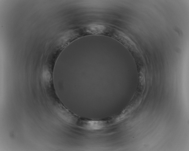 X0000111370371200907101216