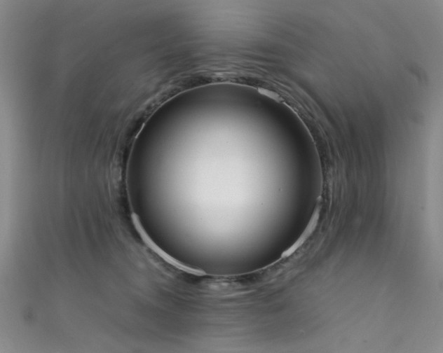 X0000111370372200907101216
