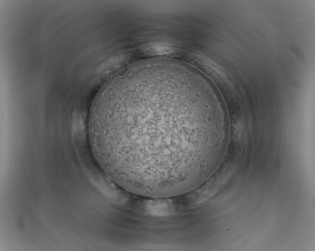 X0000111370373200907101216