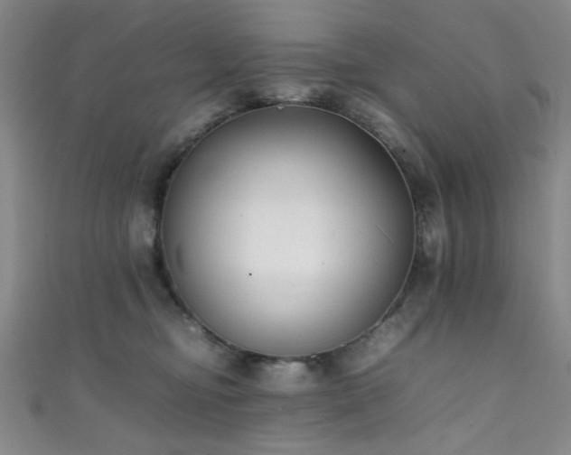 X0000111370374200907101216