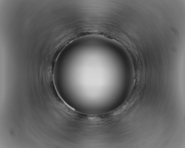 X0000111370376200907101216