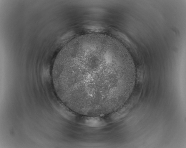 X0000111370377200907101216