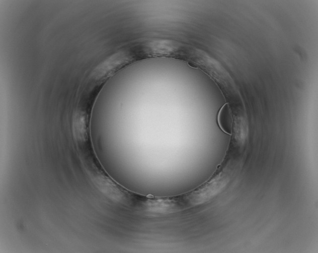 X0000111370378200907101216