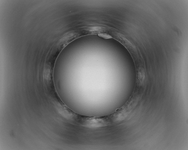X0000111370379200907101216
