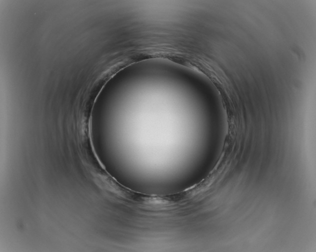 X0000111370380200907101216
