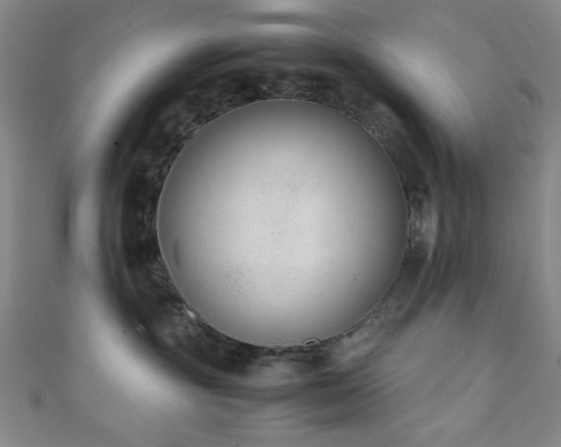 X0000111370381200907101216