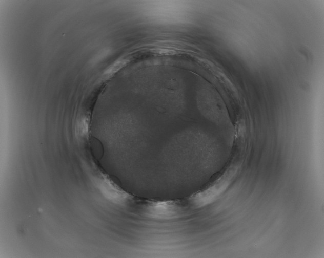X0000111370382200907101216