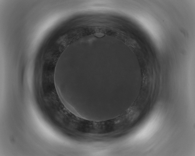 X0000111370383200907101216