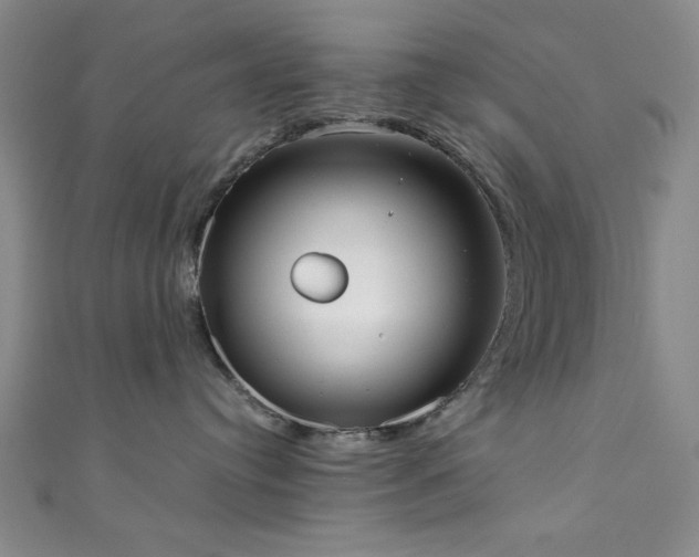 X0000111370384200907101216
