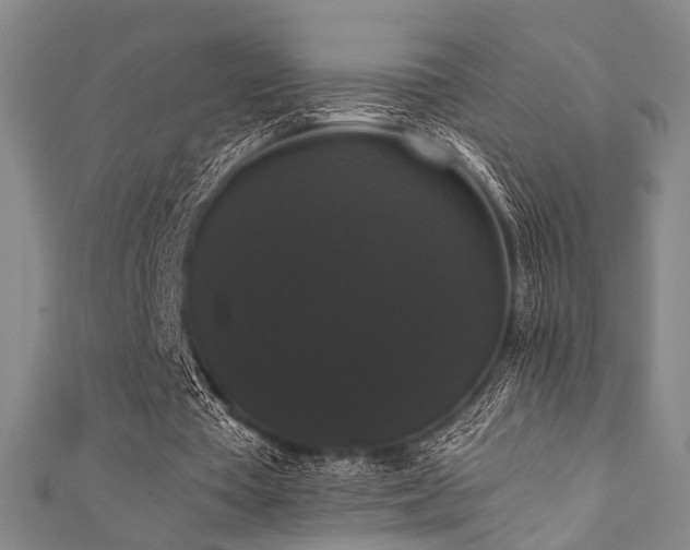 X0000111370385200907101216