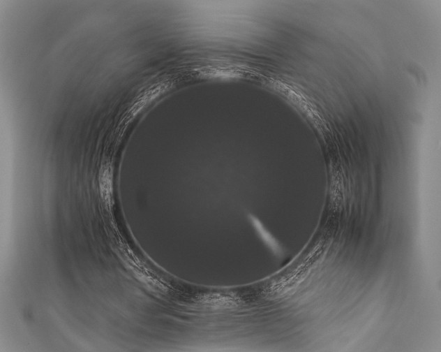 X0000111370386200907101216