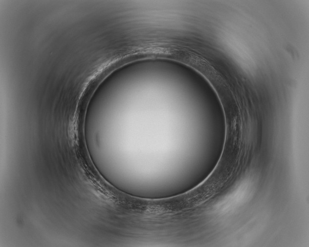 X0000111370388200907101216