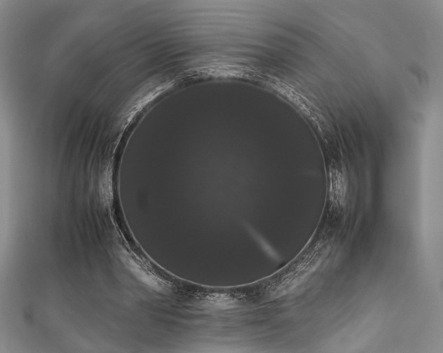 X0000111370390200907101216