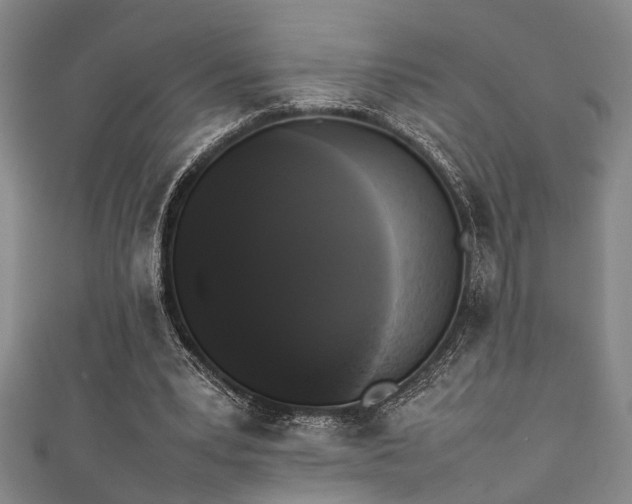 X0000111370391200907101216
