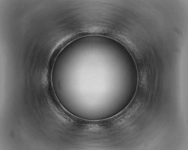 X0000111370392200907101216