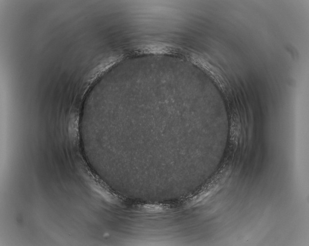 X0000111370394200907101216