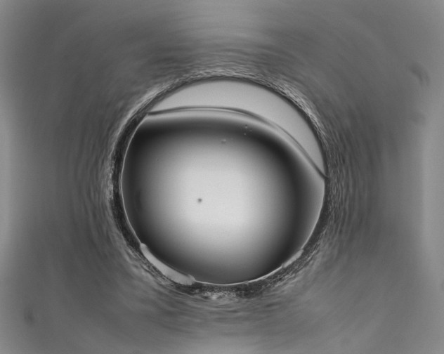 X0000111370395200907101215