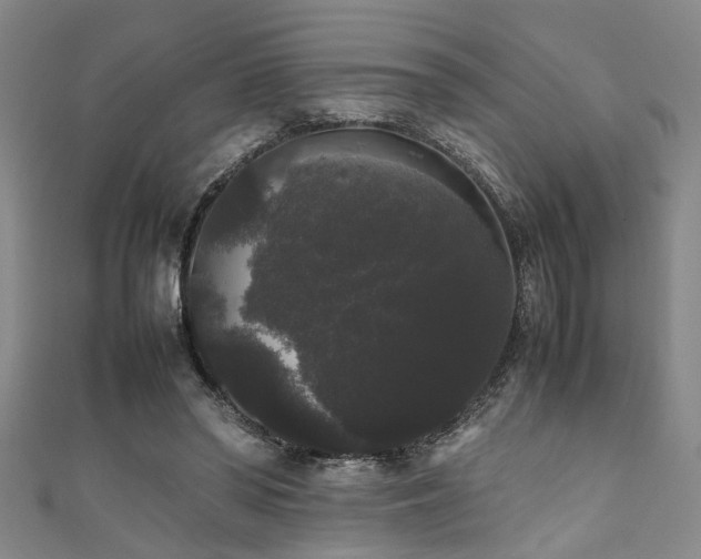 X0000111370398200907101215