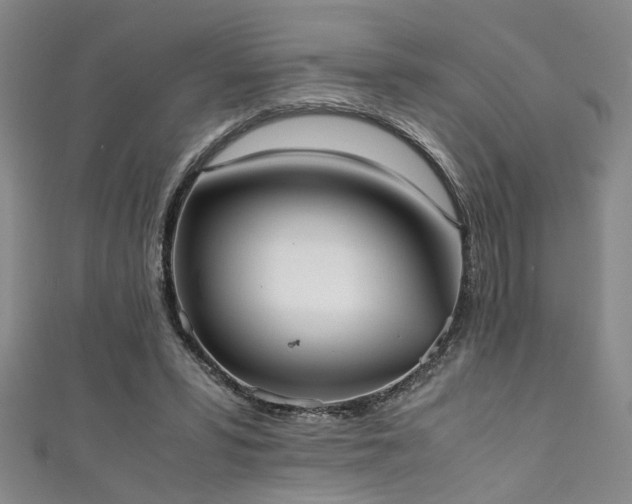 X0000111370399200907101215