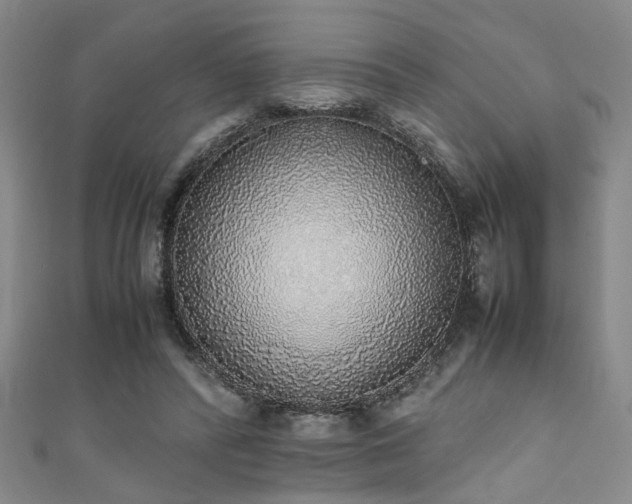 X0000111370400200907101215