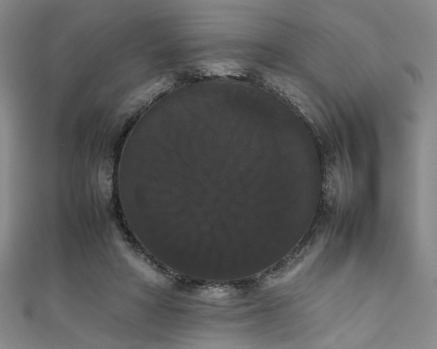 X0000111370402200907101215