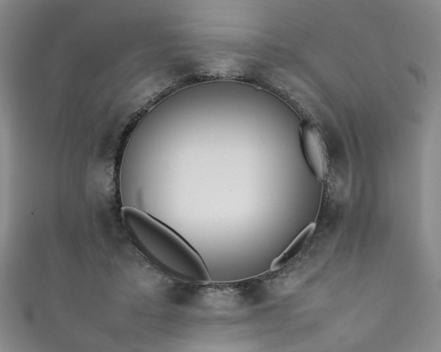X0000111370403200907101215