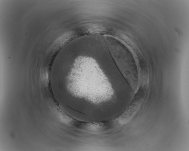 X0000111370405200907101215