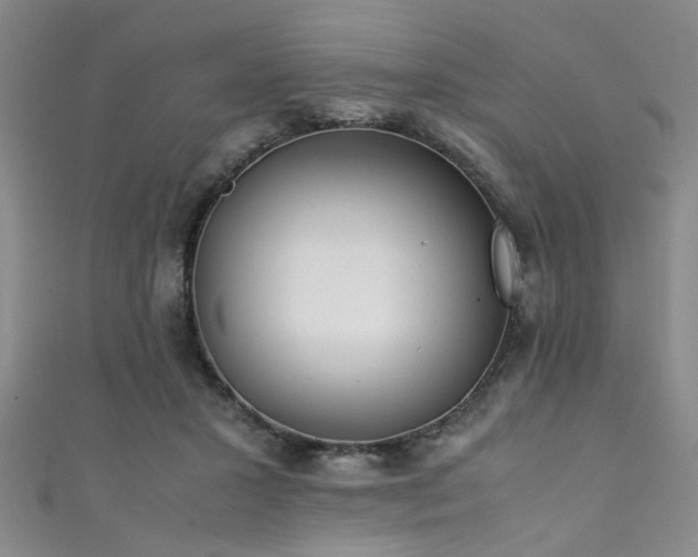 X0000111370407200907101215