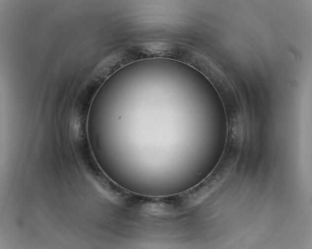X0000111370408200907101215