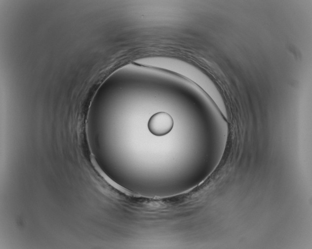 X0000111370409200907101215