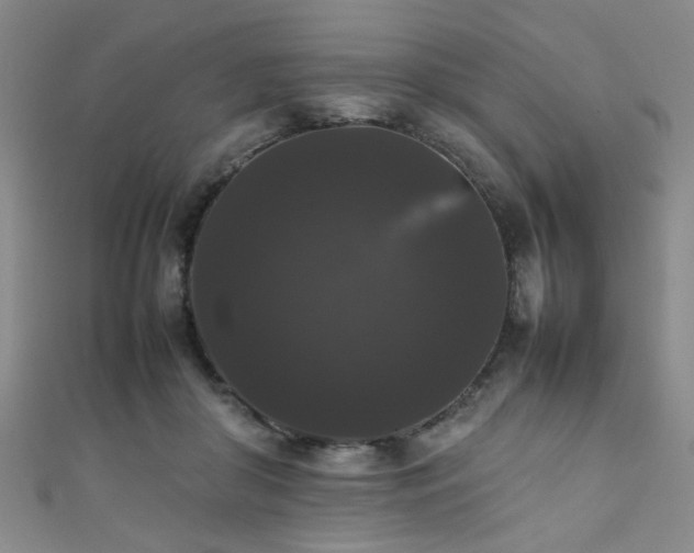 X0000111370410200907101215