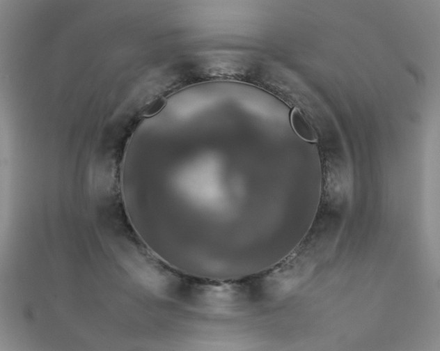 X0000111370411200907101215