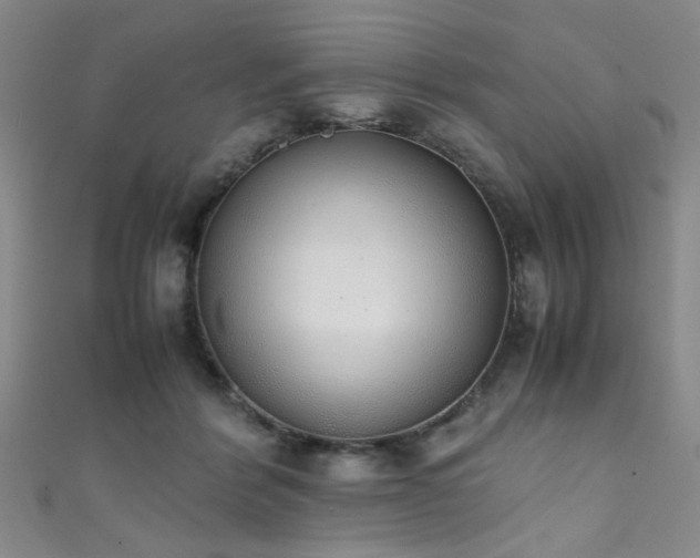 X0000111370412200907101215