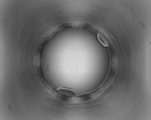 X0000111370413200907101215