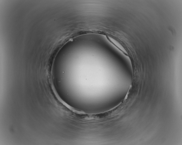 X0000111370415200907101215