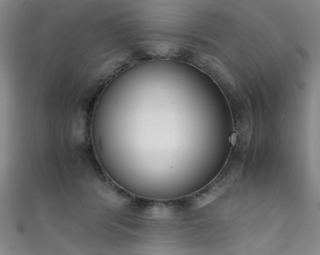 X0000111370416200907101215