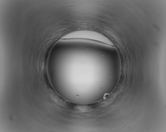 X0000111370417200907101215