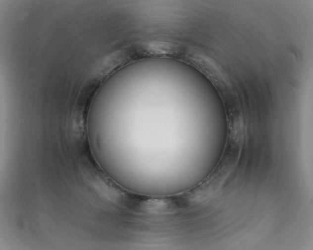 X0000111370418200907101215