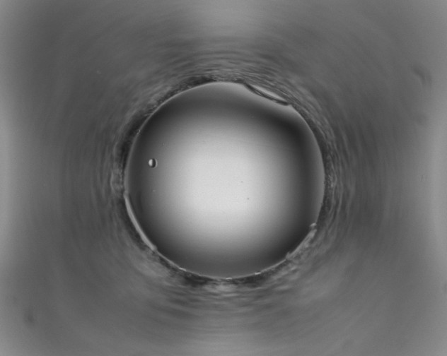 X0000111370419200907101215