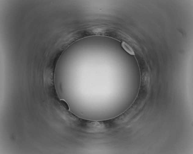 X0000111370421200907101215