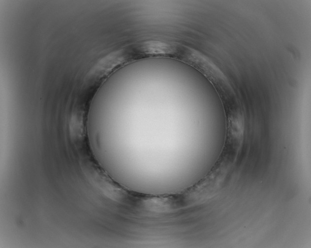 X0000111370422200907101215
