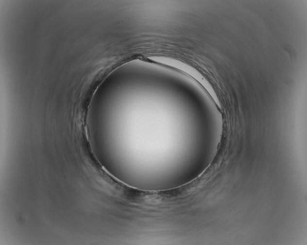 X0000111370423200907101215