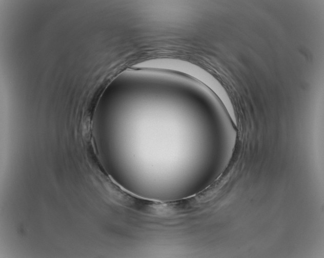 X0000111370425200907101215