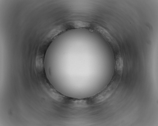 X0000111370426200907101215