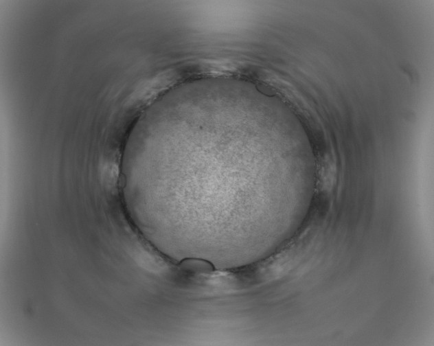 X0000111370427200907101215