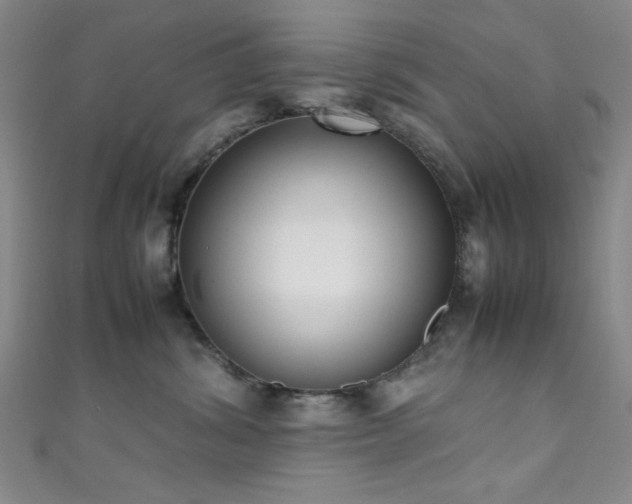 X0000111370428200907101215