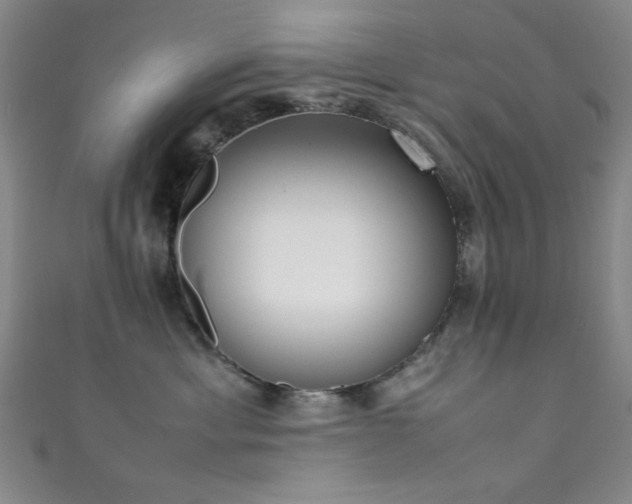X0000111370429200907101215