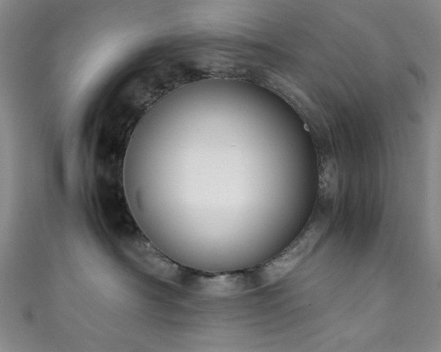 X0000111370430200907101215