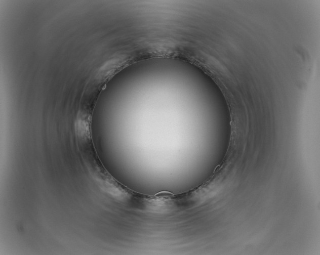 X0000111370432200907101215