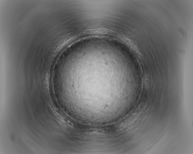 X0000111370434200907101214